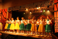 School Show 2014-16